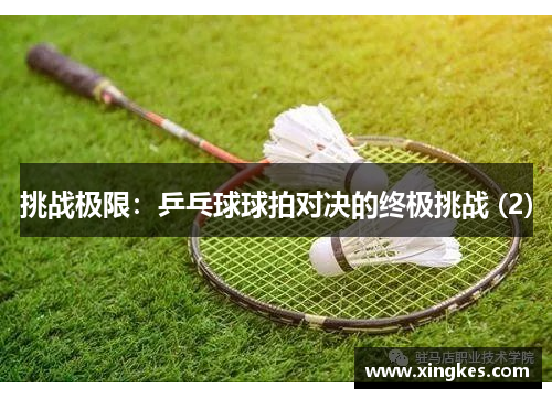 挑战极限：乒乓球球拍对决的终极挑战 (2)