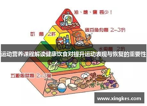 运动营养课程解读健康饮食对提升运动表现与恢复的重要性